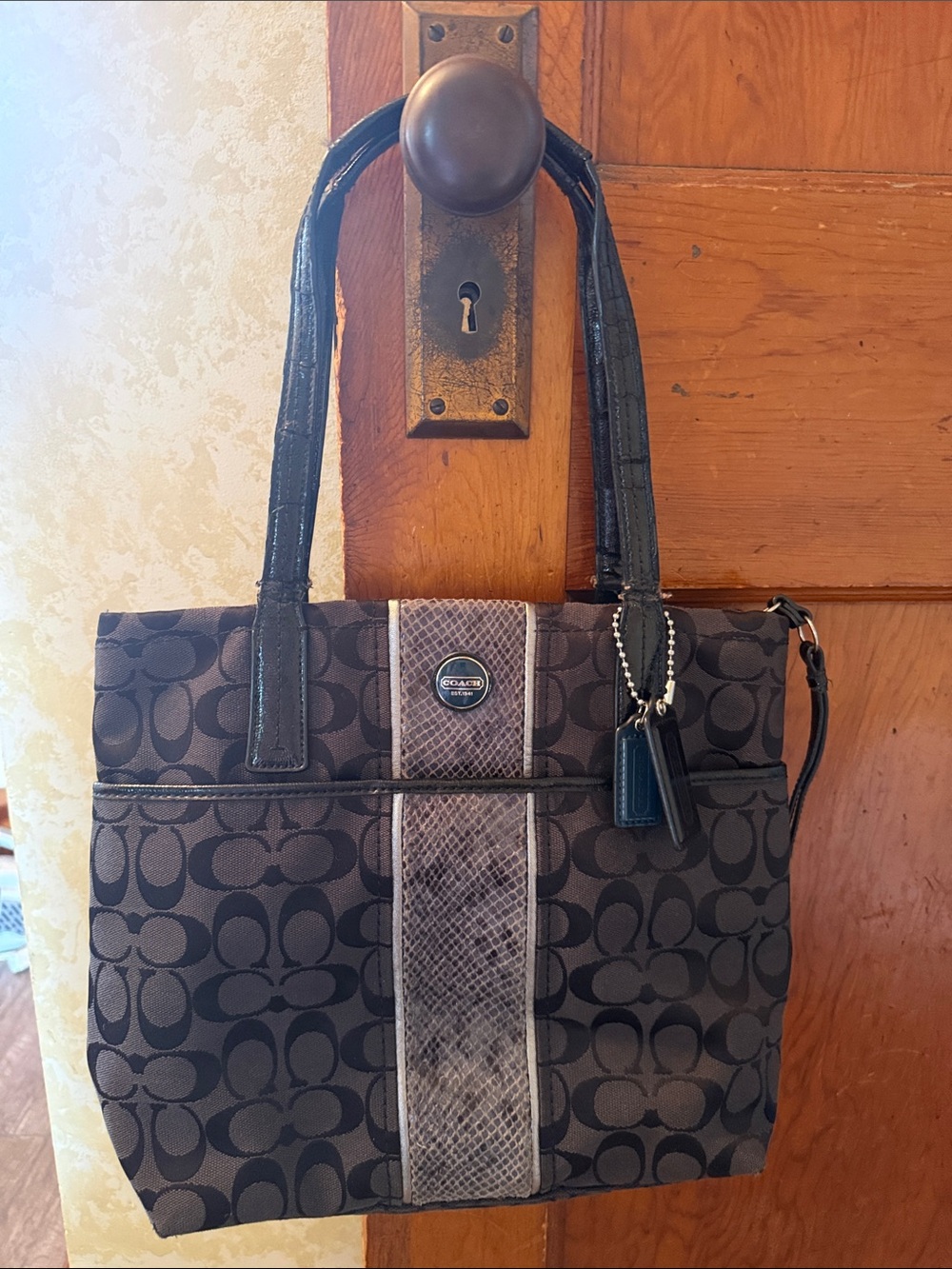 Coach Brown Signature Tote with Snake-Print Center Stripe